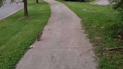 Our Paths Keep Crossing