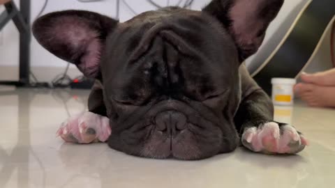 He is really sleepy