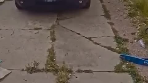 Lightning ⚡⚡⚡⚡⚡
