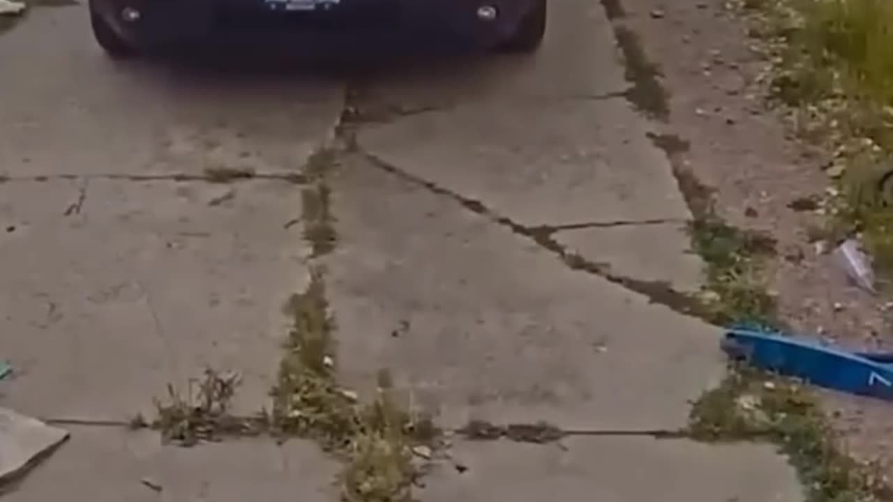 Lightning ⚡⚡⚡⚡⚡