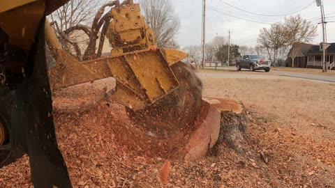 How to get rid of a stump