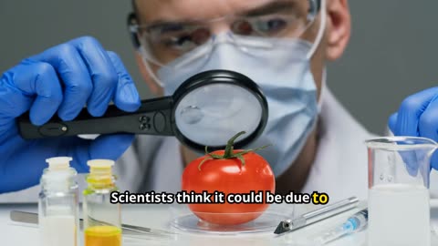 Junk Food May Raise Lung Cancer Risk by 41%