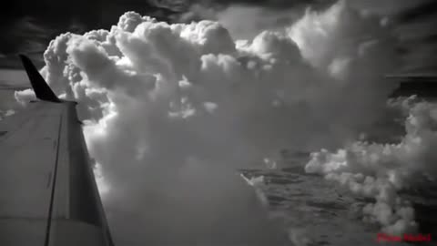 Infrared Cameras Can See Through What Our Eyes Can't