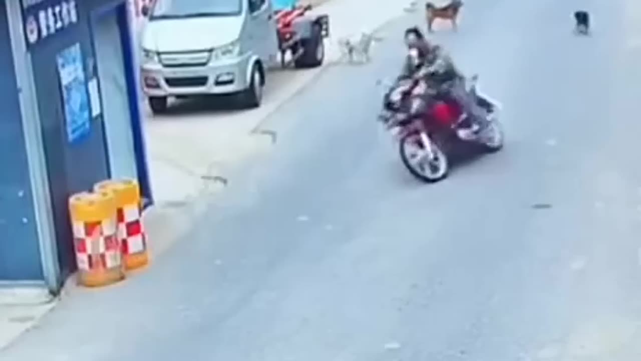 The mischievous dog that made the man fall off his motorcycle😂