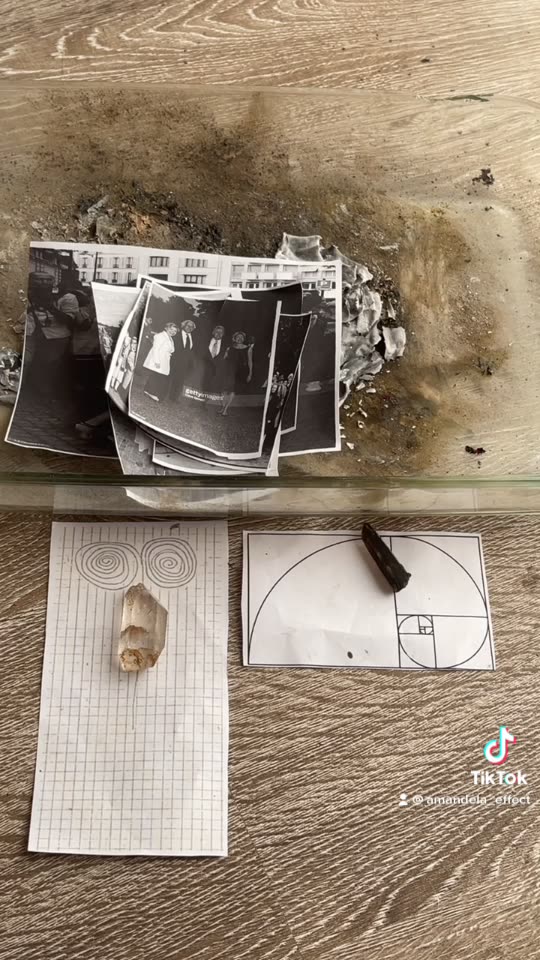 Tim Rifat TikTok Videos