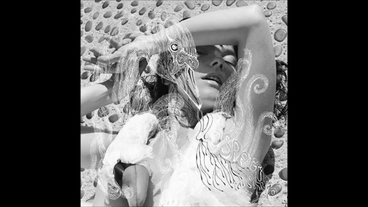 BJÖRK - Vespertine