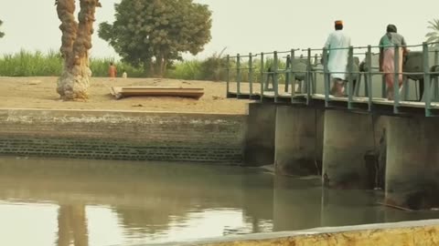 My Village Beautiful Video ❤ #maxrecords #villagelife #larkana #sindh #pakistan