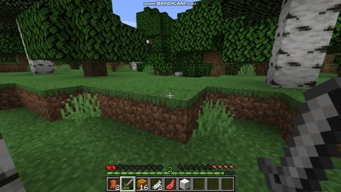 Minecraft part 3