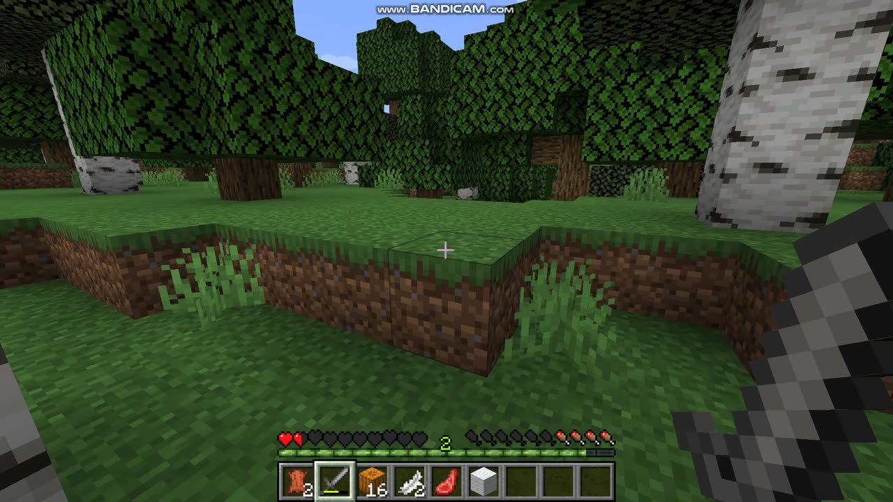 Minecraft part 3