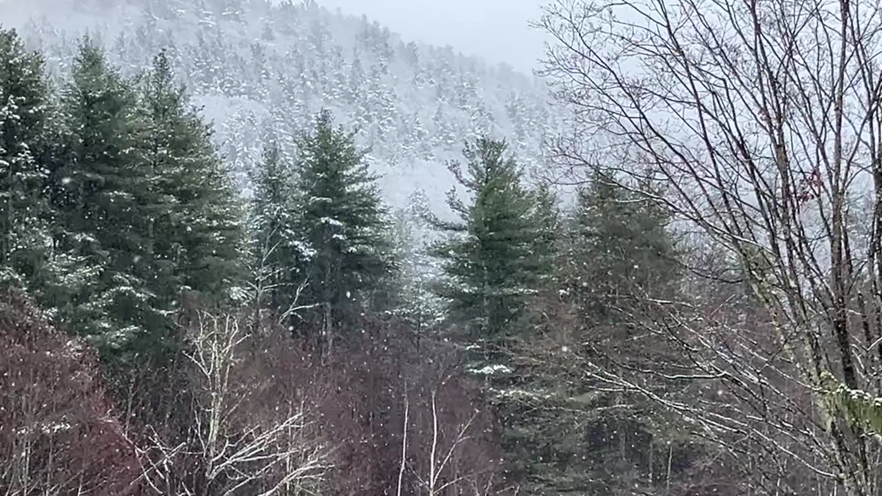 Last Big Snow ❄️?