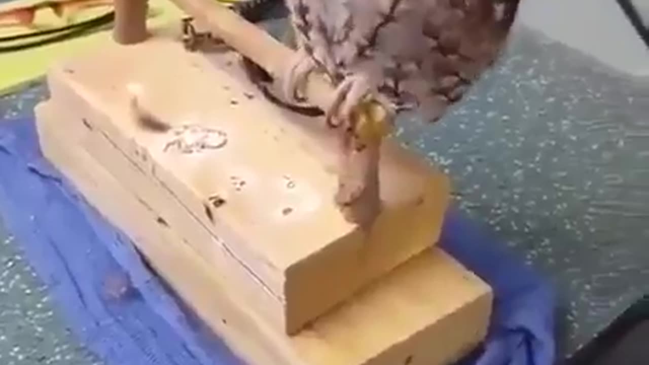 Box breathing is a powerful tool