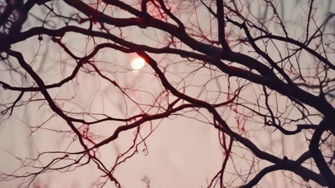 Heat Between Us V2