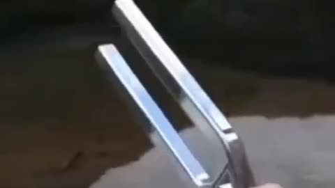 Frequencies play an important role in our world