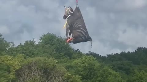 🎢🌪️ 'Weeeeee!' - The Most Terrifying Roller Coaster Ride EVER! | FunFM