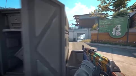 Funny Moments