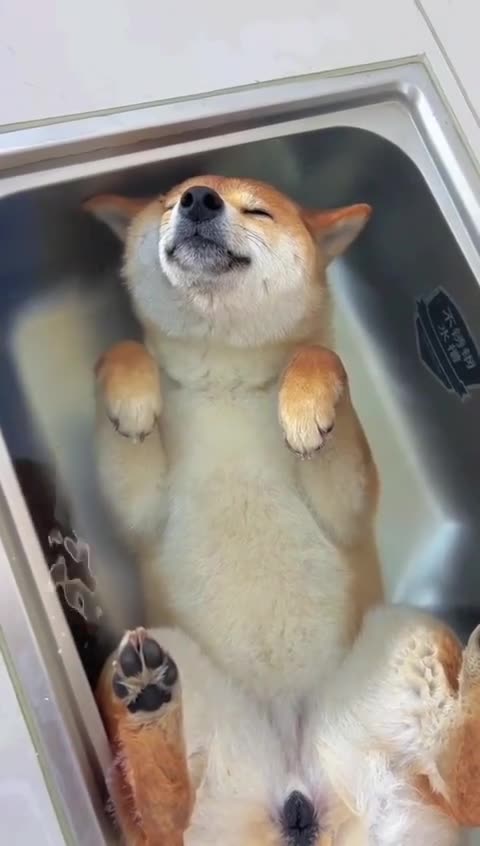 Escaping the summer heat