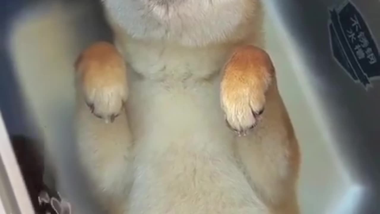 Escaping the summer heat
