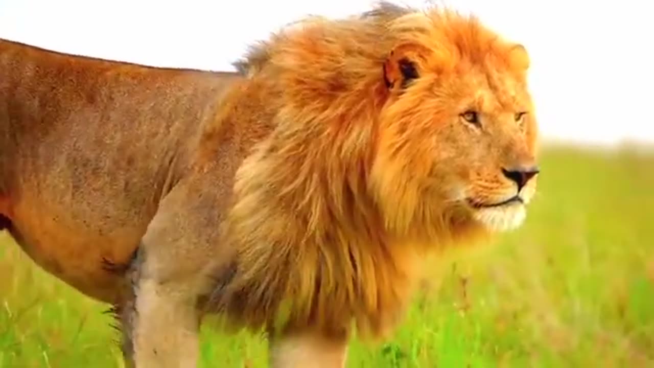 THE PATHWAY OF FAITH - DAILY DEVOTIONAL ❤️