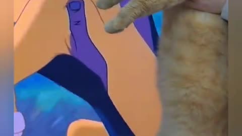🐱 Funny & Cute Cat Videos! 😻 | Daily Laughs & Adorable Moments