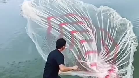 Amazing Way of Fishing