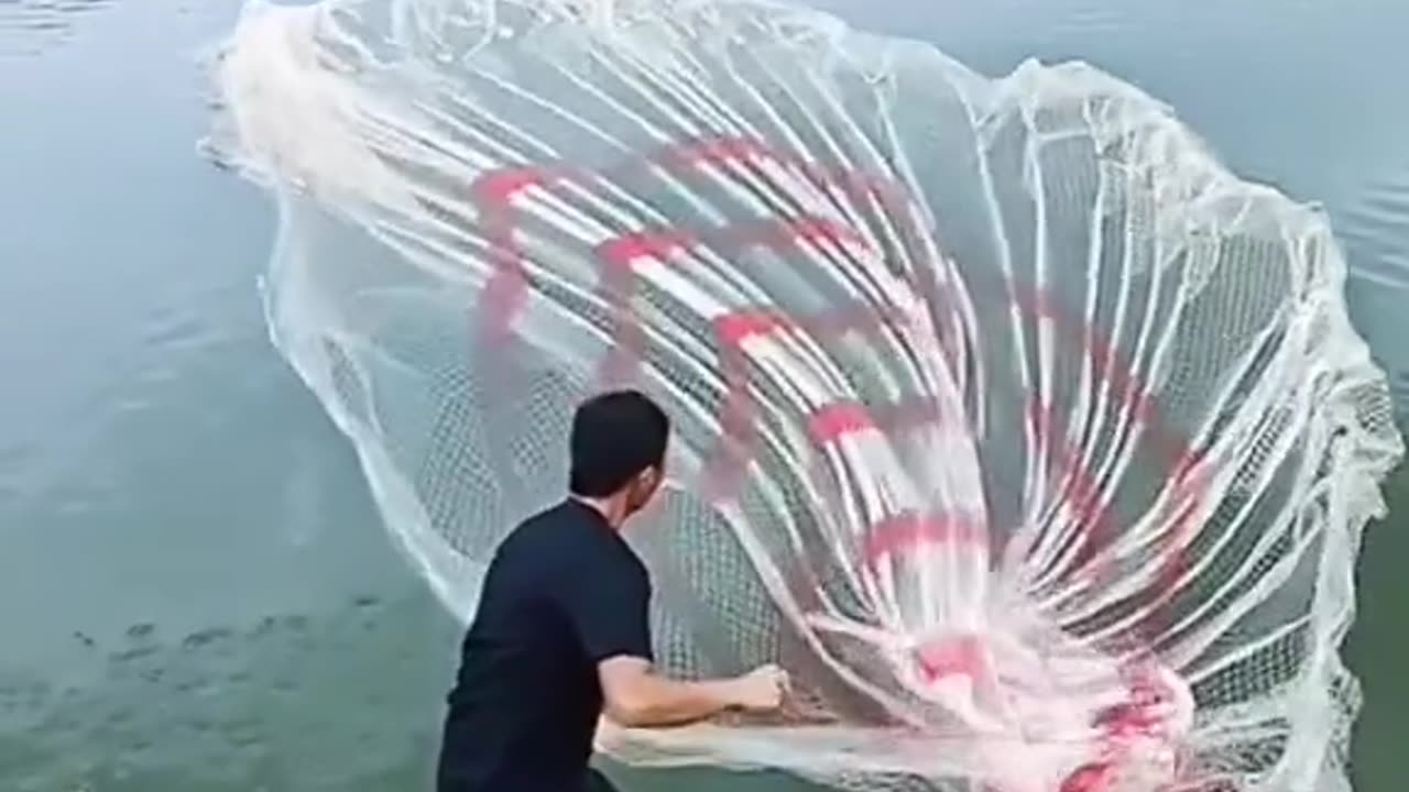 Amazing Way of Fishing
