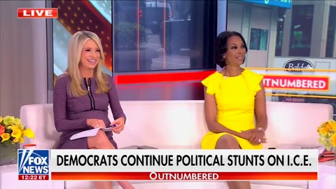 Kayleigh McEnany Points Out What Arrested Dems Pulling 'Stunts' Have In Common