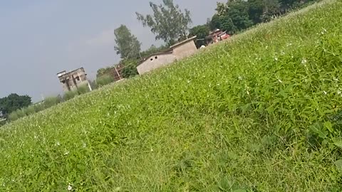 Namaste doston