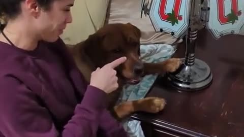 🐶❤️ This Girl's Touch Causes UNBELIEVABLE Magic! | FunFM