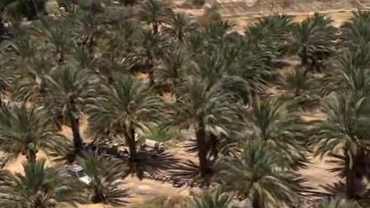 Jericho known as one of the oldest continuously inhabited cities in the world.