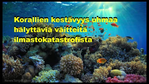 Korallien kestävyys uhmaa hälyttäviä väitteitä ilmastokatastrofista