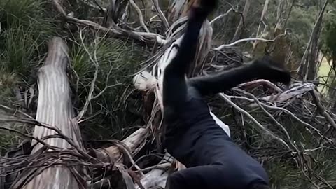 Funny short video