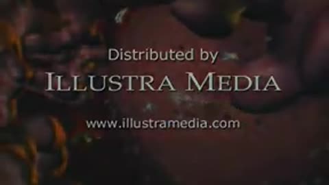 Creation Documentary
