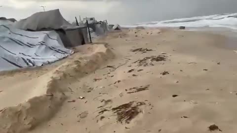 Gaza Palestine Winter January 19th 2026 Genocide by Israel