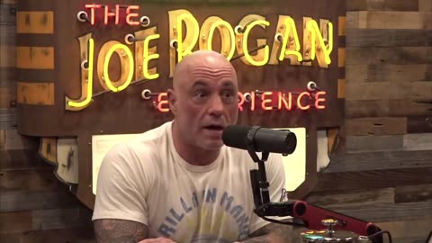 Joe Rogan Fact Checks Bono Over USAID Cuts