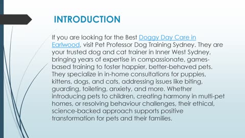 Best Doggy Day Care in Earlwood