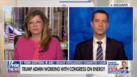 'THEY GOT THE PICTURE': Sen. Tom Cotton praises Trump's 'long overdue' Houthi airstrikes