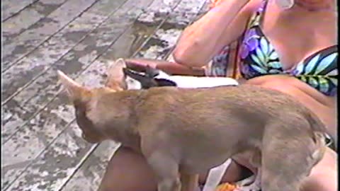 2004-NY-LakeTitus-4