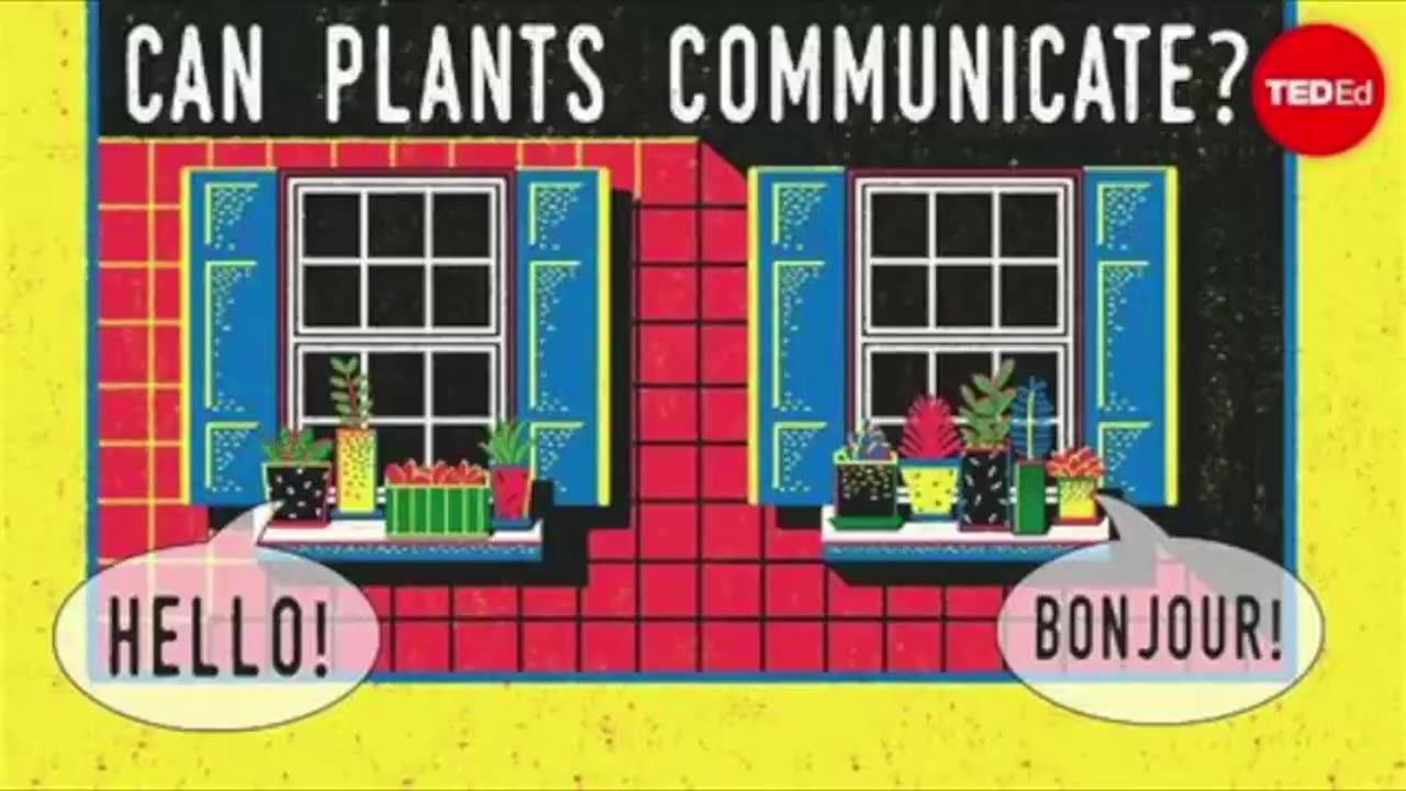 Sự kết thúc của thuyết vi trùng (p2)