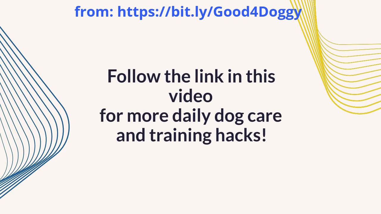 Summer Safety Tips for Dogs: The Deadly Mistake You Might Be Making