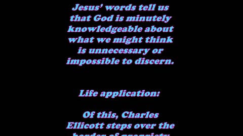 Matthew 10:30 - Daily Bible Verse Commentary