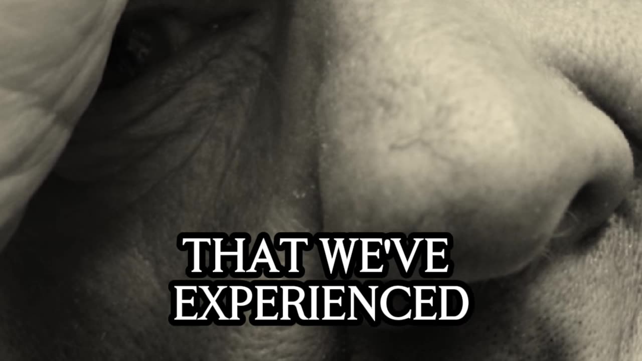 A Powerful Message on Guilt and Shalom from Rabbi Jeff Zaremsky #Shorts #RabbiJeffZaremsky