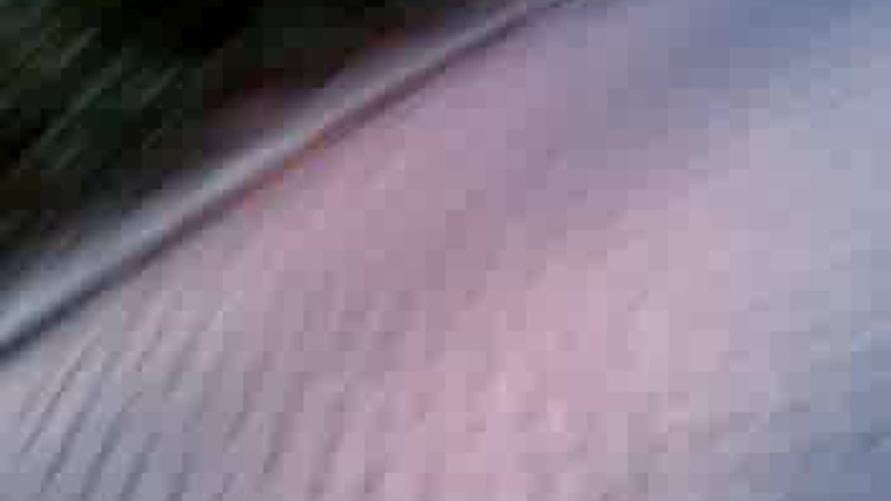 Gouda's Glorie 18 september 2009 07/14