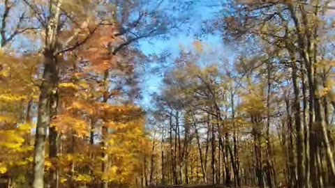 Autumn Driving Compilation