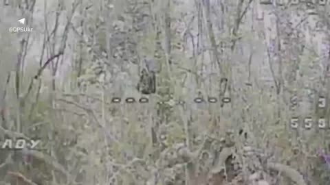 Border guards of the "Gart" brigade destroyed an enemy cannon, two vehicles,