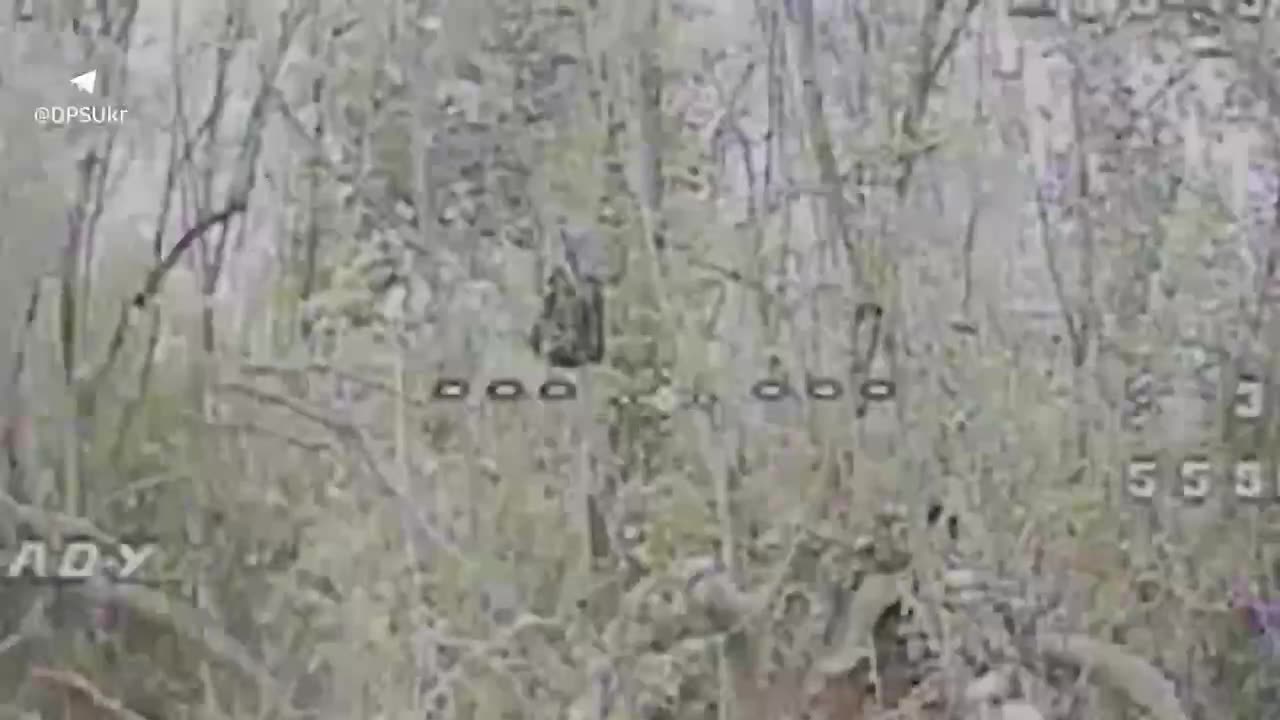 Border guards of the "Gart" brigade destroyed an enemy cannon, two vehicles,