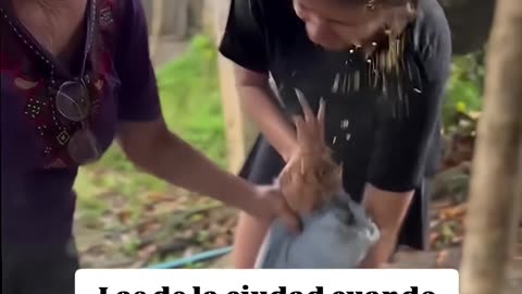 😂 Hilarious Funny Moments Caught On Camera 2025 | Try Not To Laugh Challenge 😂