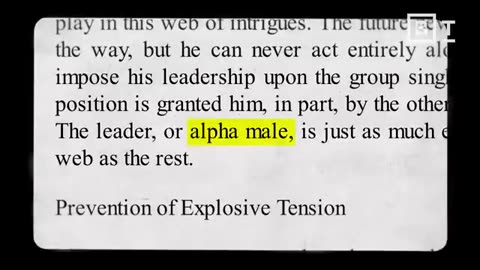 The ‘alpha male’ myth, debunked Frans de Waal