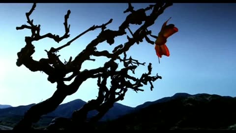 3 Doors Down - Away From The Sun