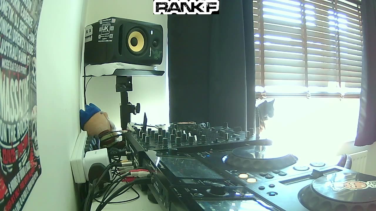 You’re Now Locked Into Timeless 👊😎