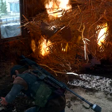 Days Gone - Cleaning Nest With Lil Stubby (Survival II)